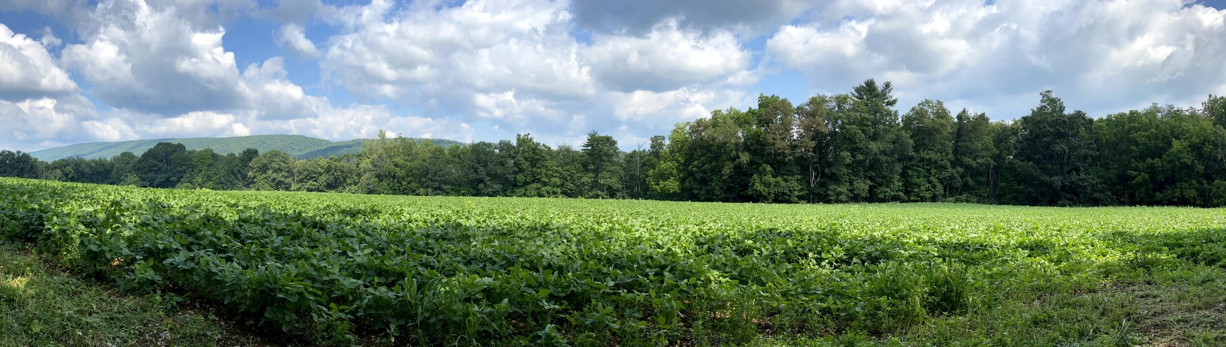 Visit Walnut Acres — Walnut Acres Foundation