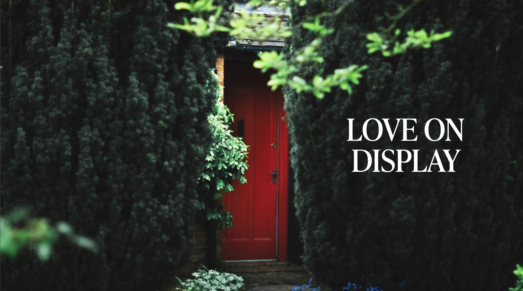 Love on Display