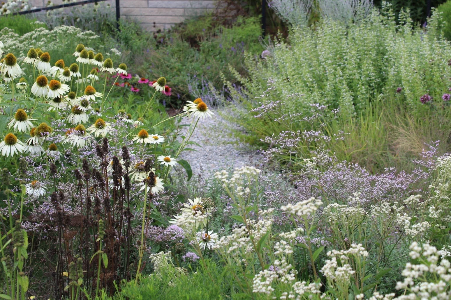 IMG_6267.JPG