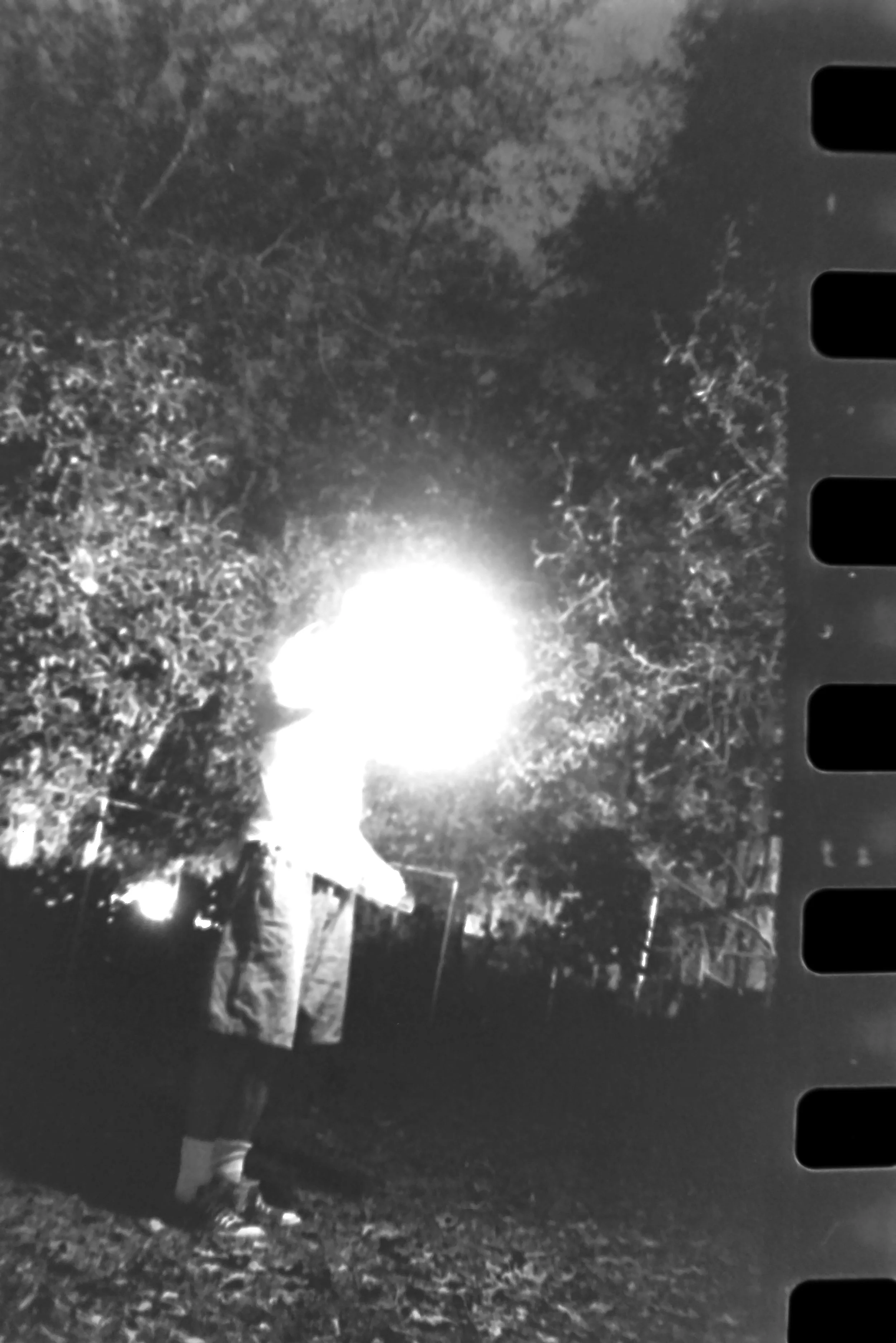Tallahassee Dude Ranch Light Experiment 15.JPG