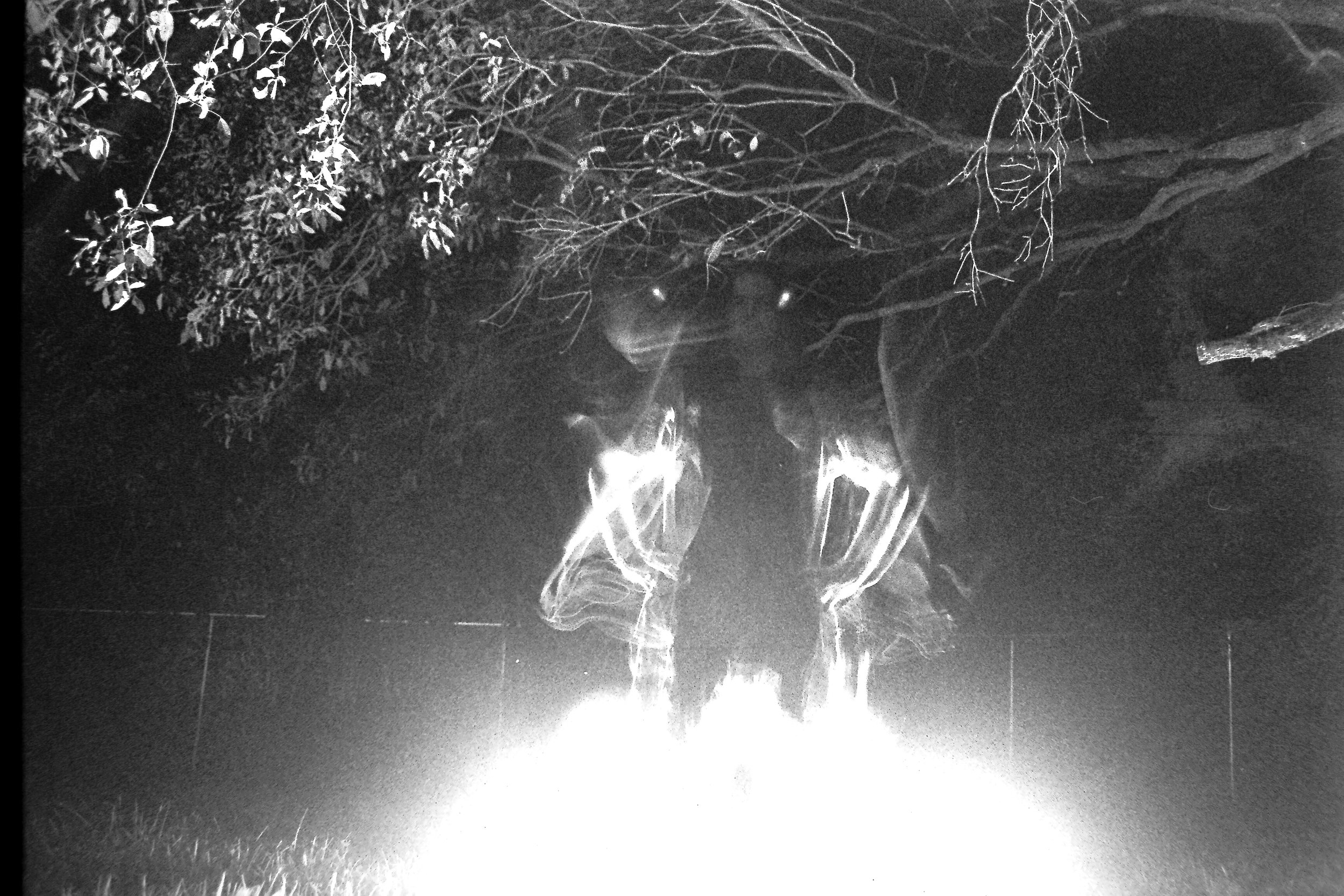 Tallahassee Dude Ranch Light Experiment 84.JPG