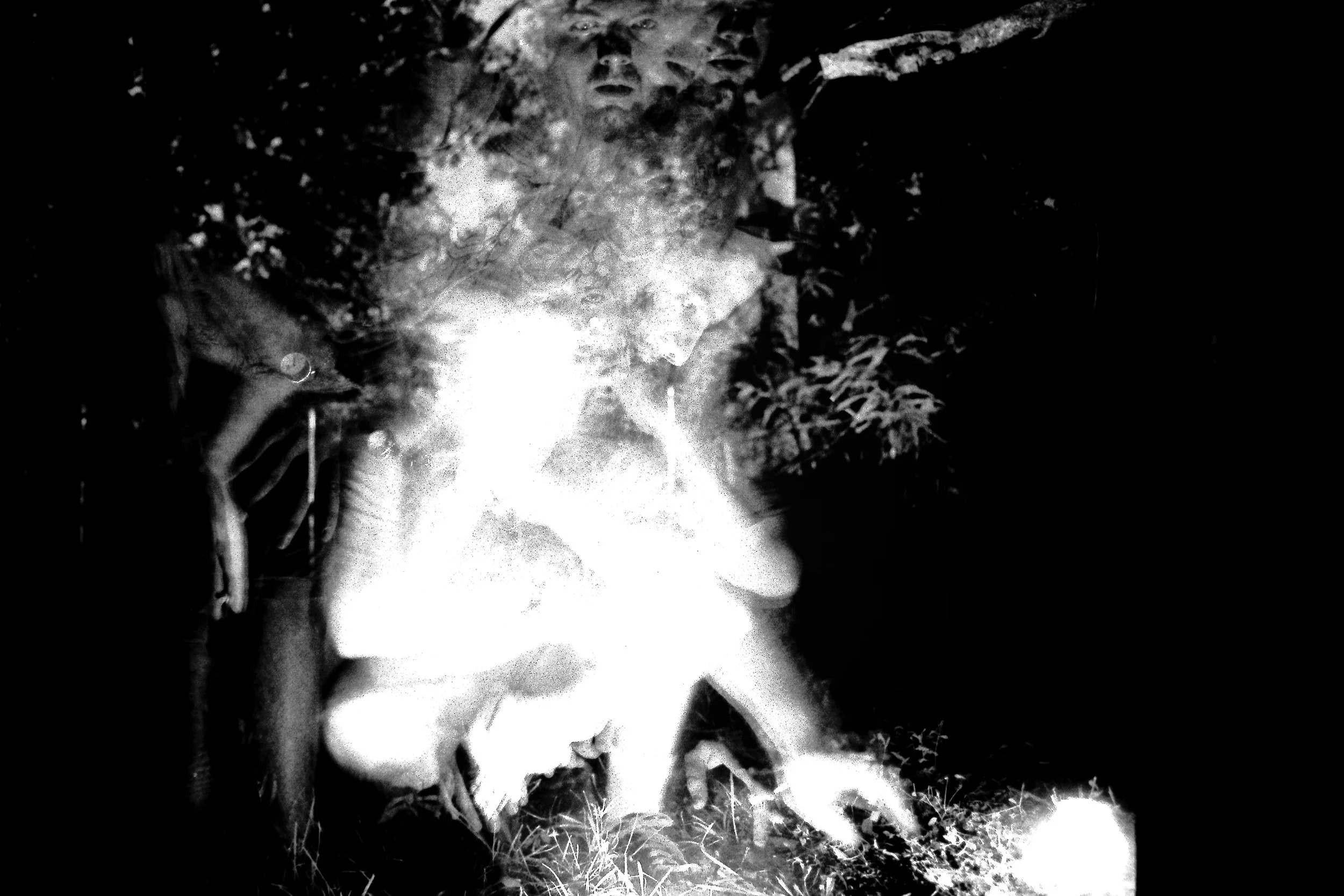 Tallahassee Dude Ranch Light Experiment 60.JPG