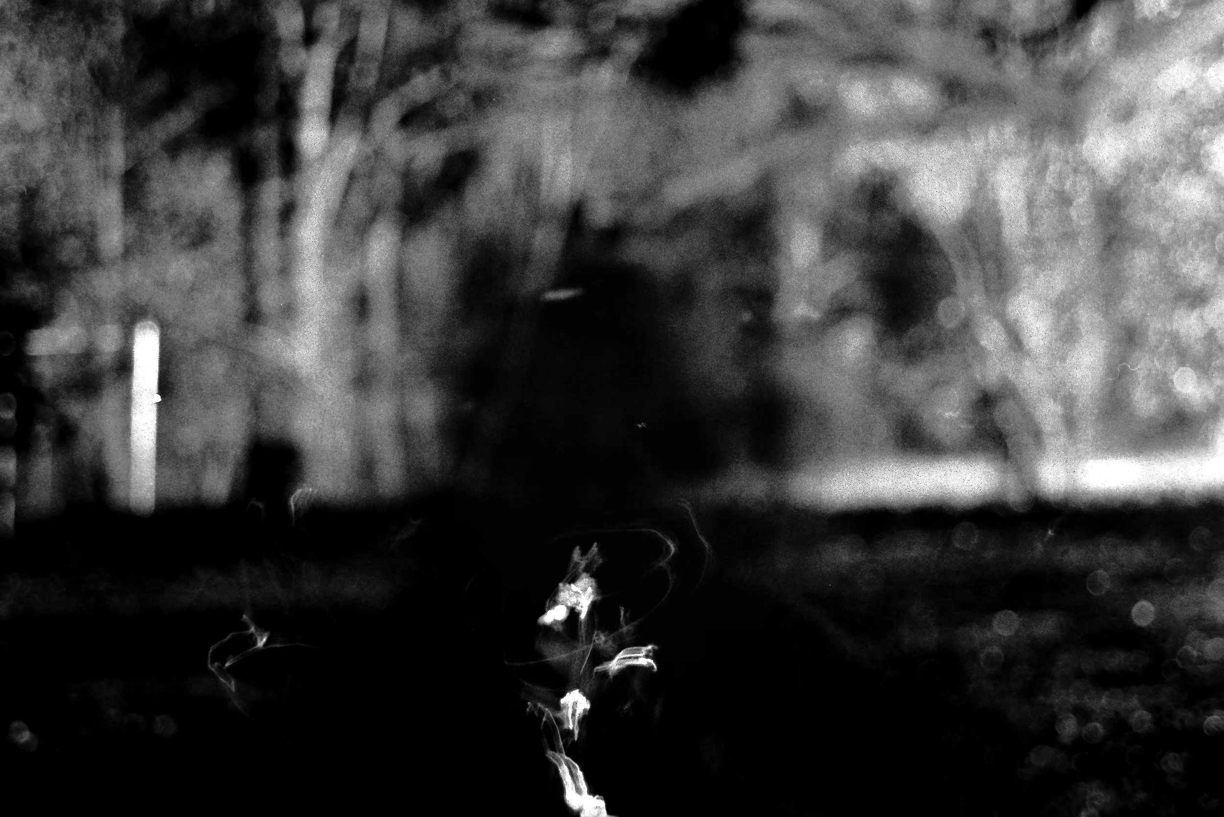 Tallahassee Dude Ranch Light Experiment 34.JPG