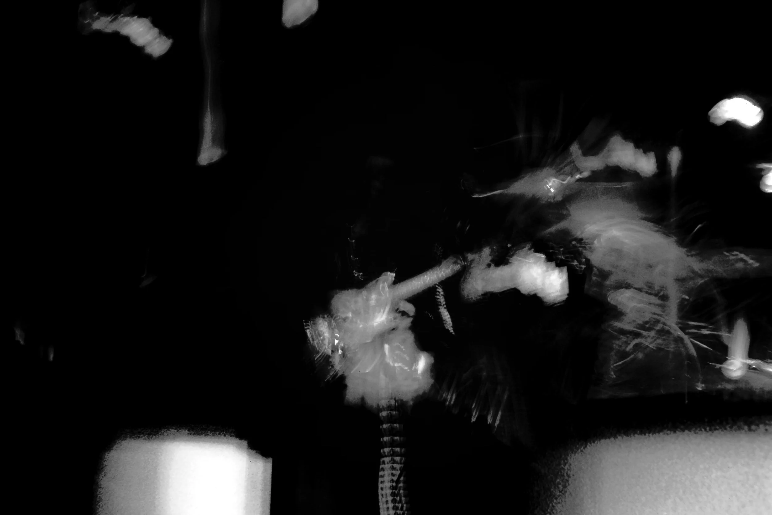 IMAG0895.JPG