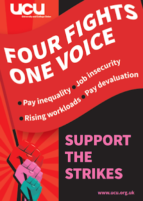 Kailey Haynes: Intimate Human Connections