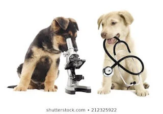 Sydney Green: Five Days