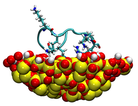 Bongwe Ngwenyama: The Fear of Not knowing