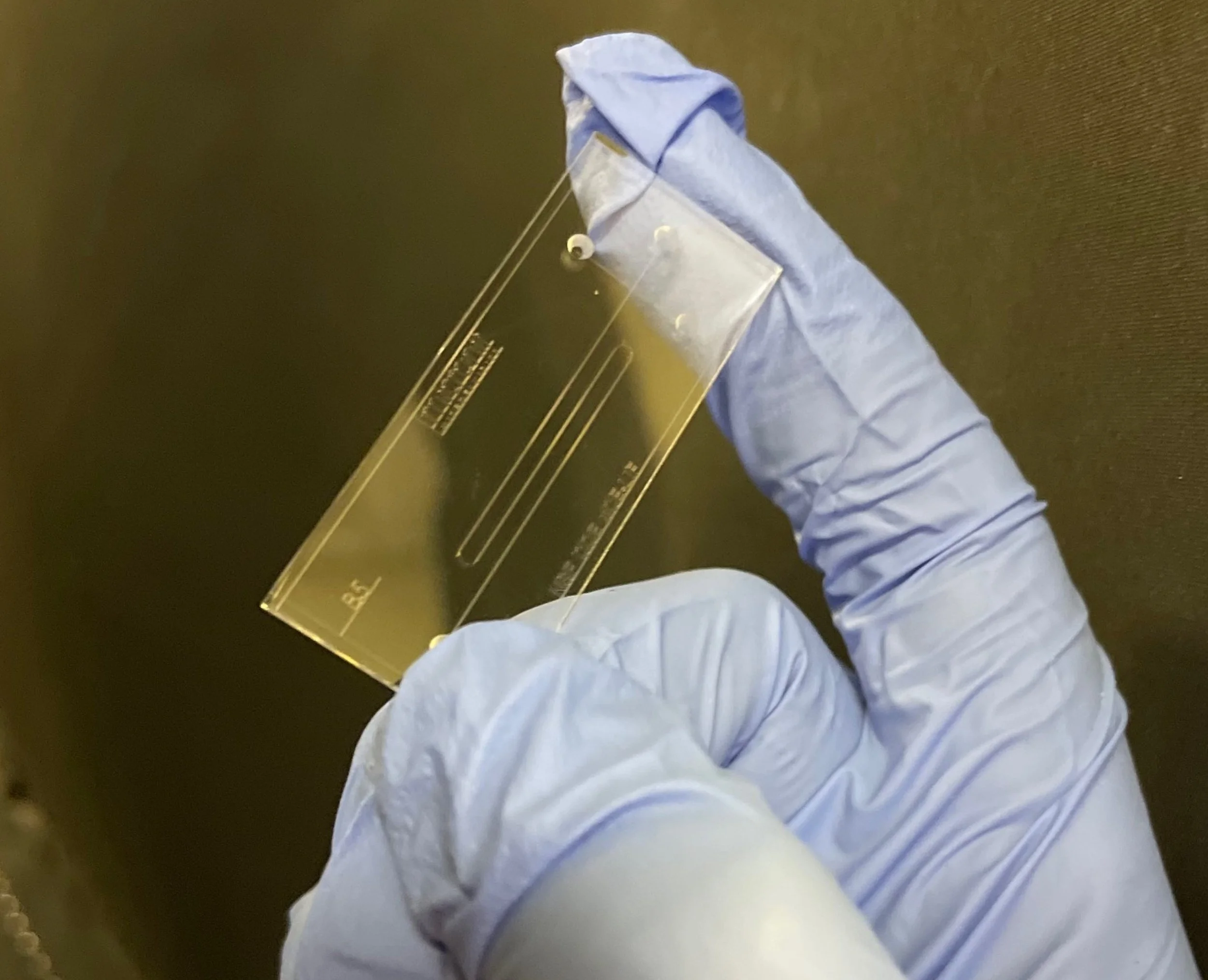 Sontee Irvin: More than Research