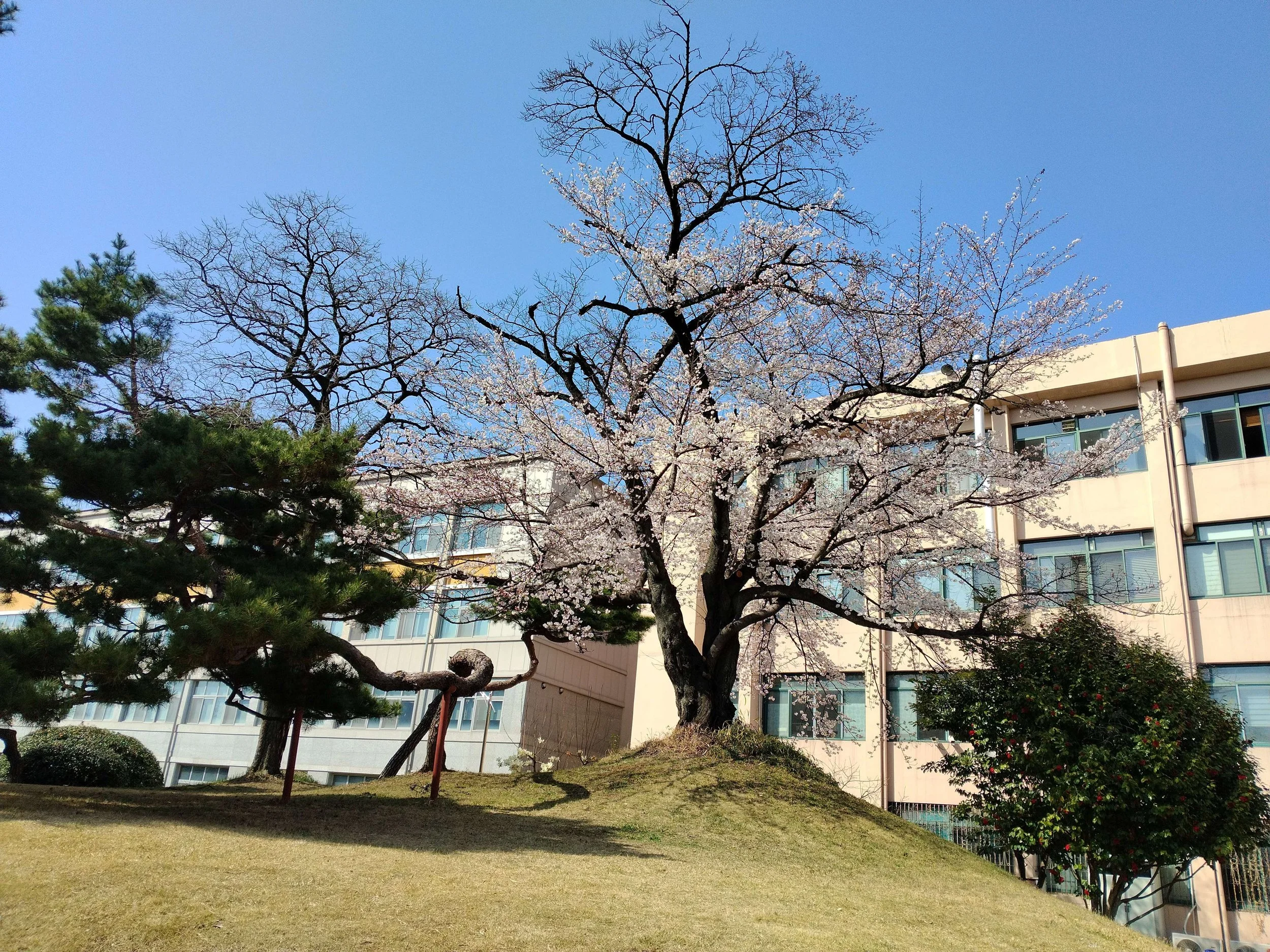 Caitlin Anderson: Another Mundane