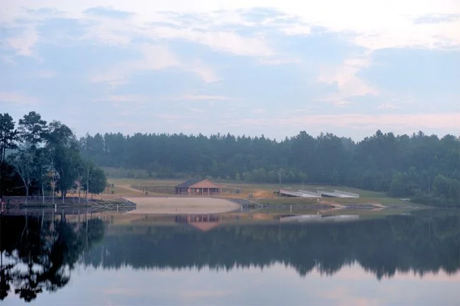 Carolyn Carpenter: Discovering New Worlds in Your Own Backyard