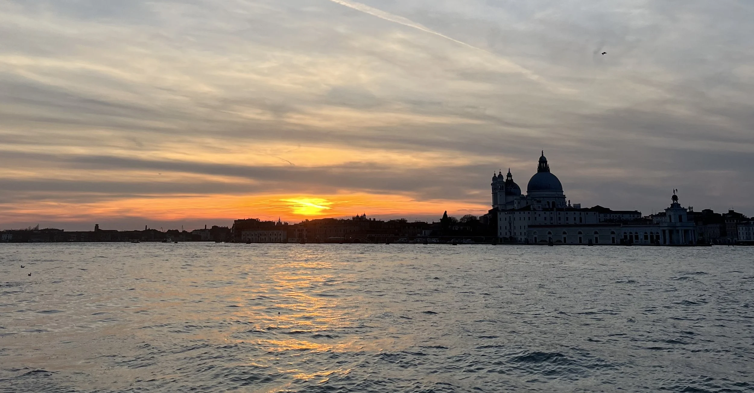 Cassandra Jones: A Lesson in Letting Go