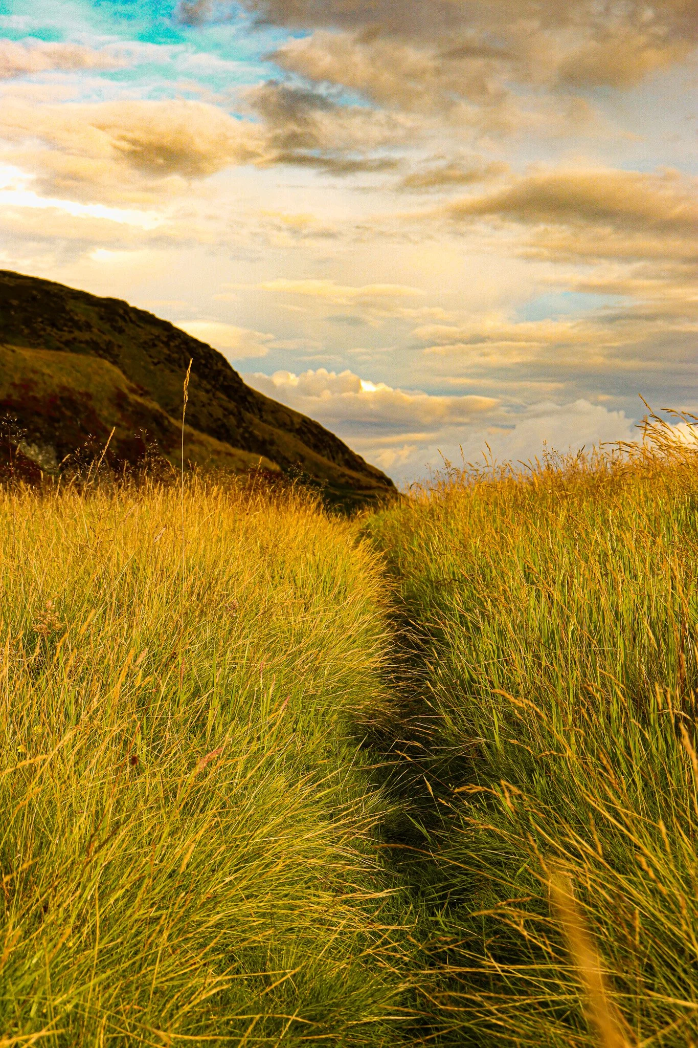 Marina Andrew: Walking in Uncertainty