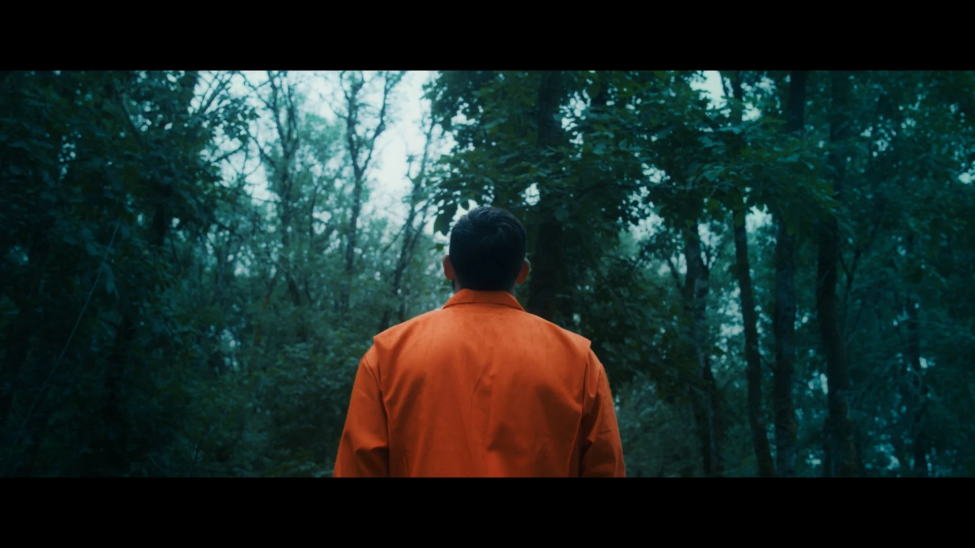 Frames-19.jpg