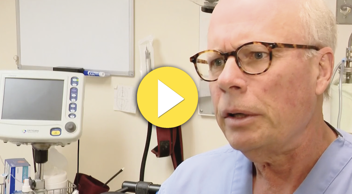 Maine dentists donate $325K in free care to domestic violence survivors through nonprofit program