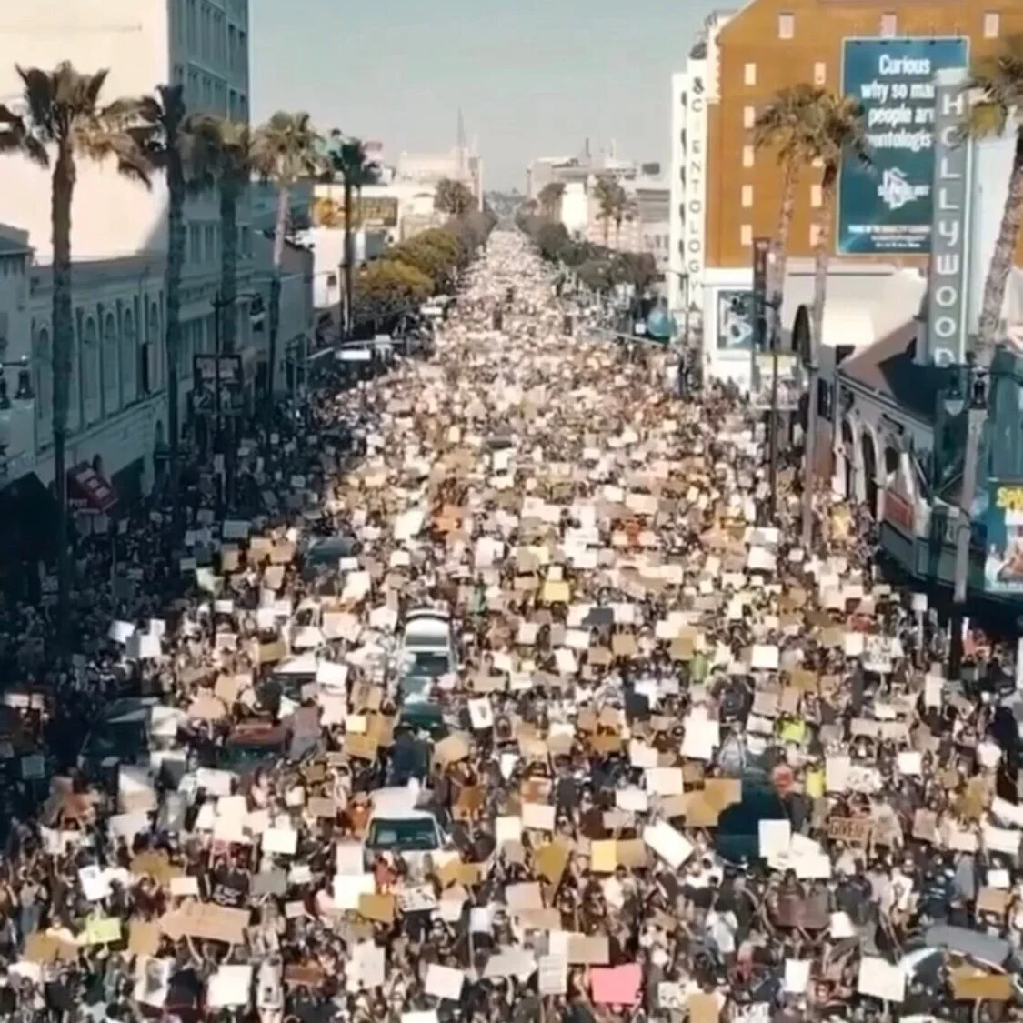 Black Lives Matter, Allyship & How We Can Keep up the Momentum