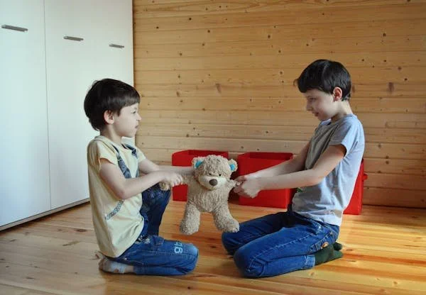 Siblings fighting over toy