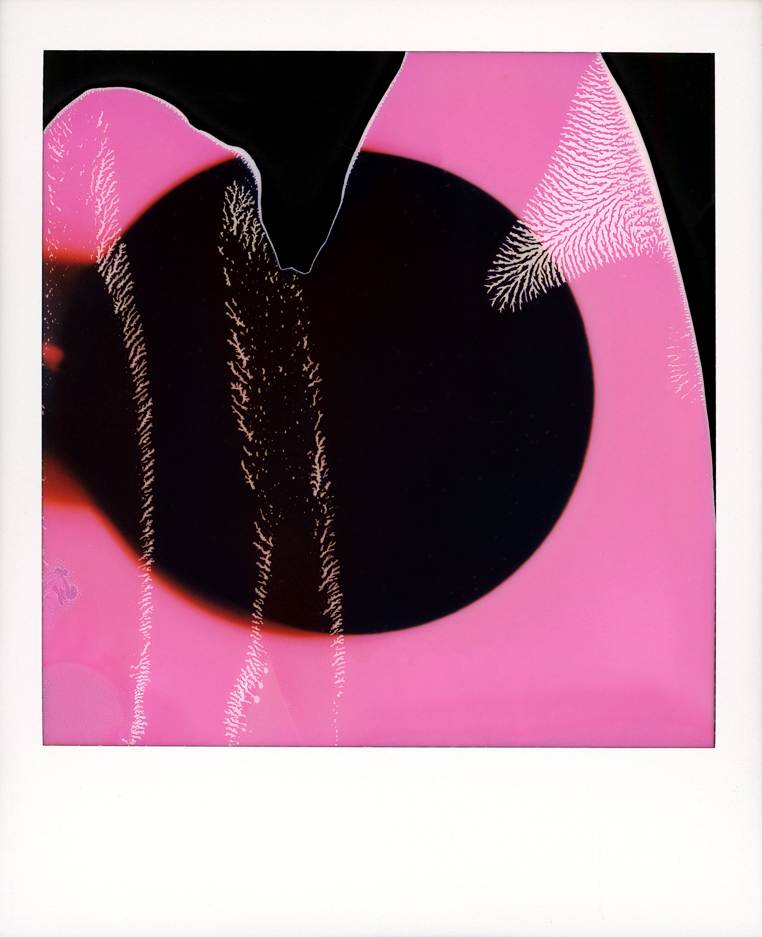magenta.jpg