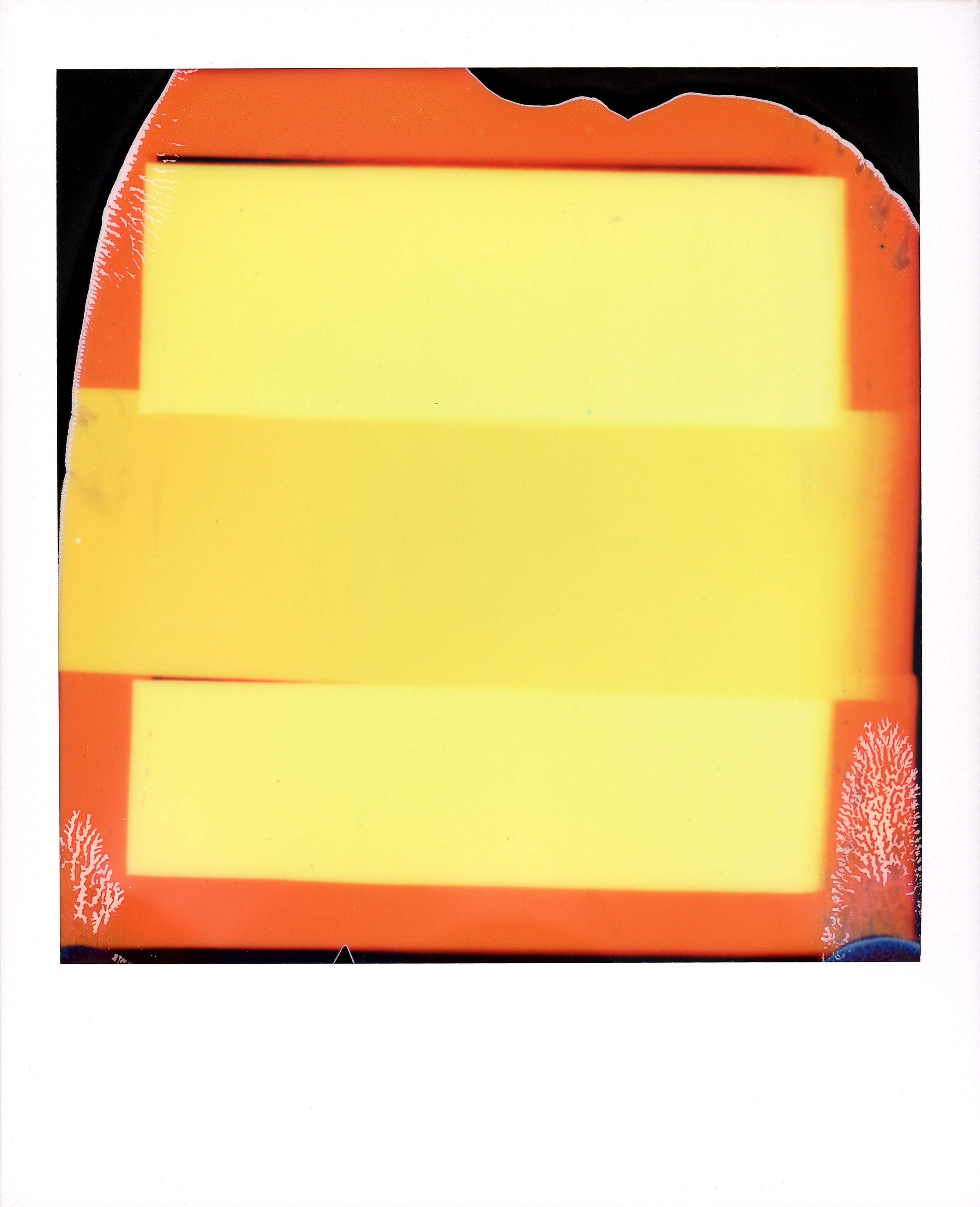 colorfield-redish-orange-yellow.jpg