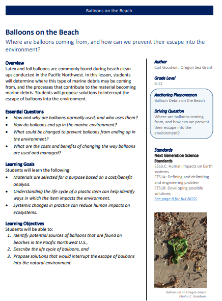 Image of Balloons on the Beach Lesson Plan