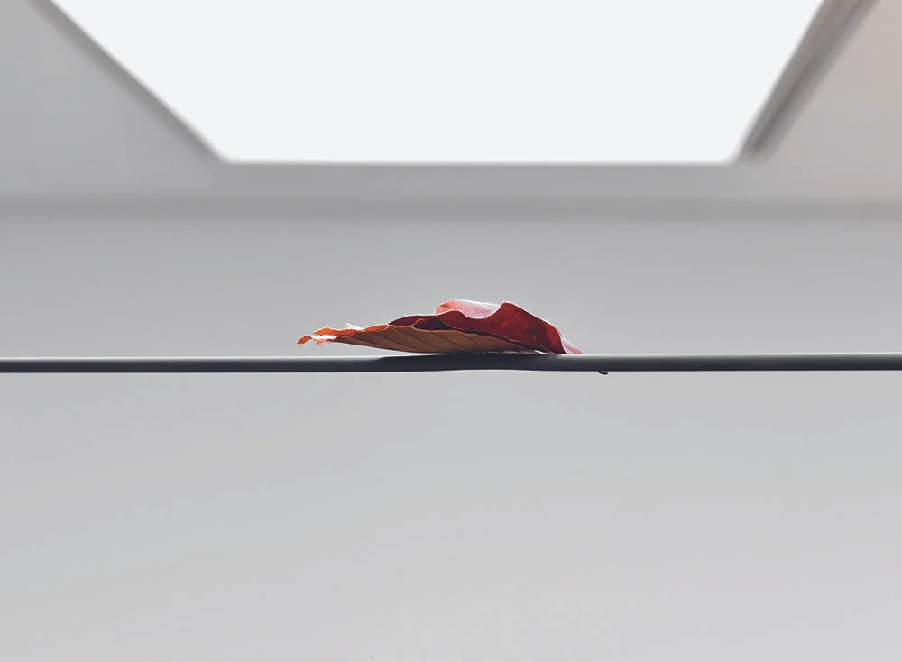 Richard Rigg — A.P.T.