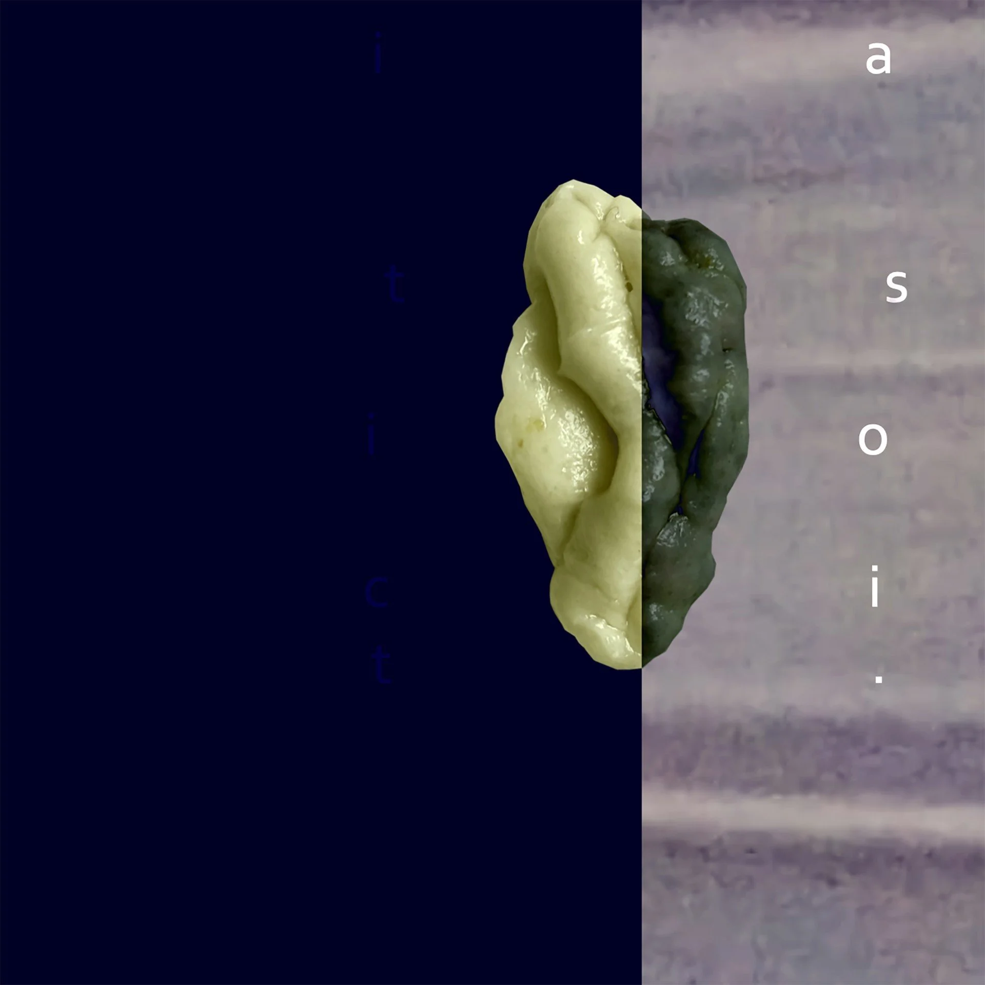 Distracted Actions 12 - 22 Feb 2026