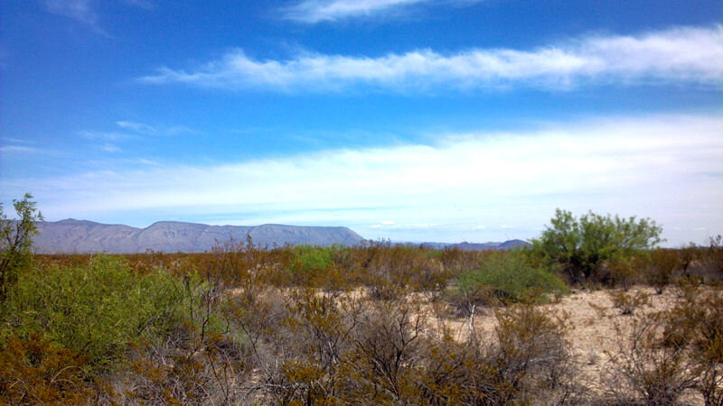2014-05-29_15-53-16_230.jpg