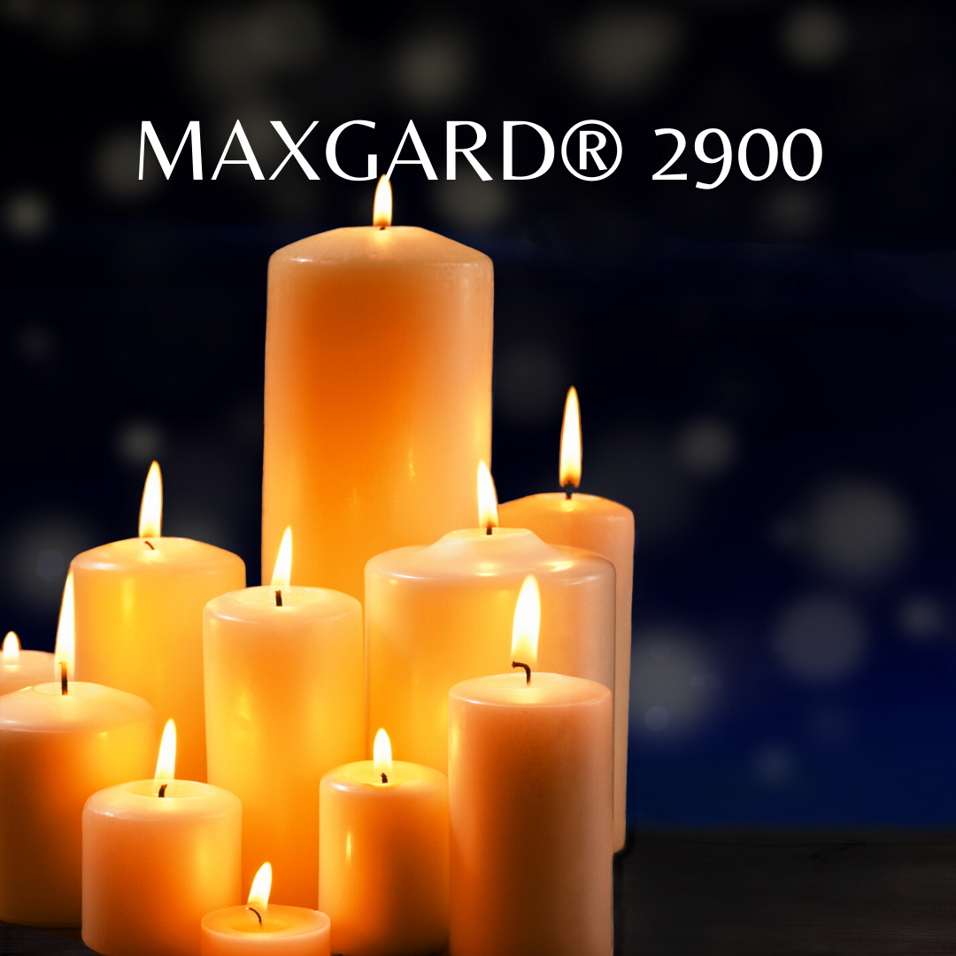 Maxgard 2900