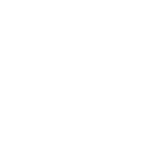 THE LITTLE ECLECTIC HOME