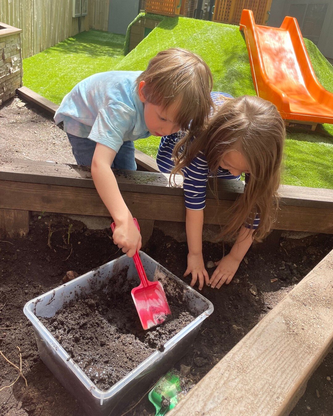 Students get their hands dirty as they explore what&rsquo;s beneath the dirt! They worked as a team using shovels and buckets to collect their findings! &ldquo;Look at this root we found! It&rsquo;s so long. I think it&rsquo;s from a sunflower!&rdquo