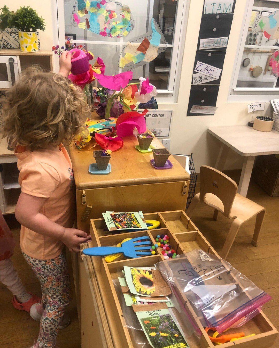 Nursery children created a flower shop in the dramatic play center, and spent time learning to arrange their bouquets!
#POTA #PreschooloftheArts #Reggio #ReggioInspired #Reggiopreschool #PreschoolInspiration #ChildCentered  #EarlyChildhoodEducation #