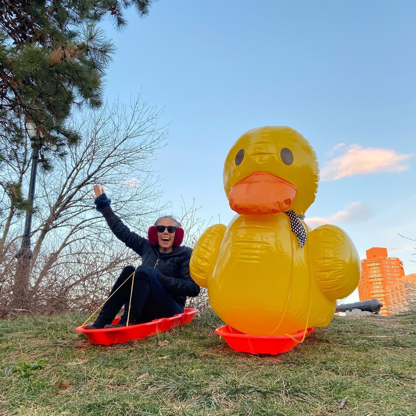 Eric's goes sledding! 
&gt;
Eric (my pet duck) decided he wants to join the Bobsled team so we headed to Central Park to test out our skills. He has some stiff competition, but with a bit more practice, I'm sure he'll make it!

He really is a duck of