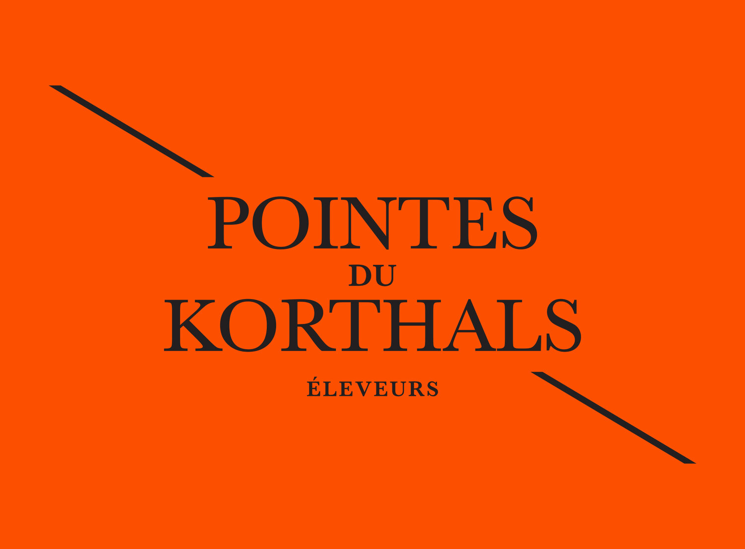 Élevage Pointes du Korthals – Griffon Korthals 