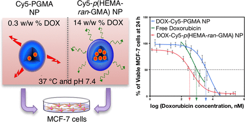 ACS Omega-TOC-chemotherapy-nanoparticle-drug delivery.gif