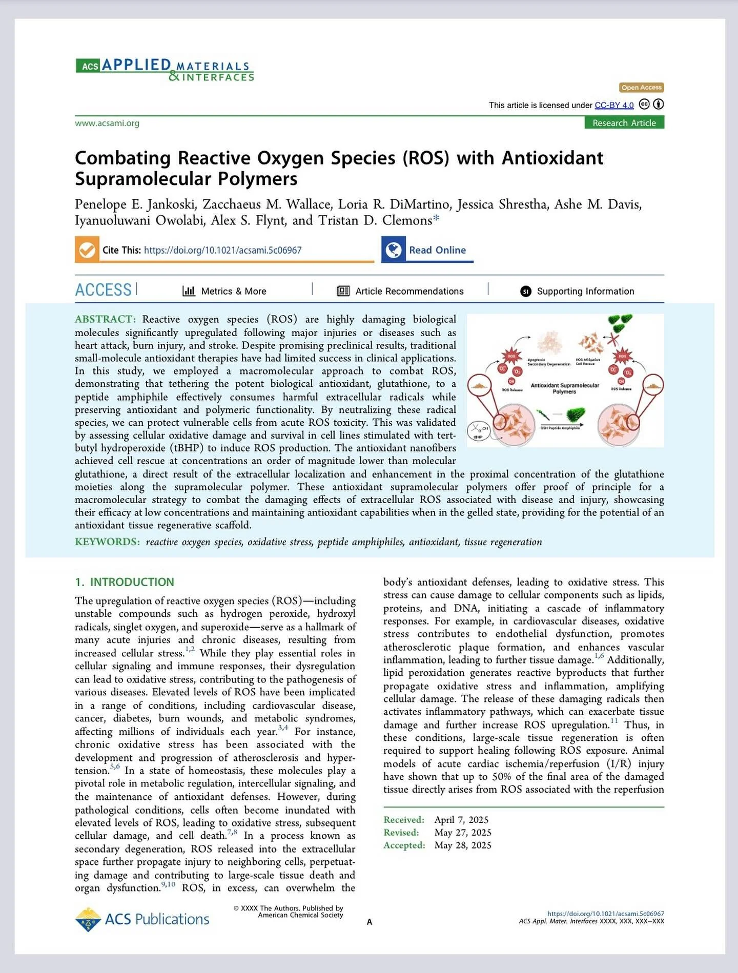 And just like that @penelopejankoski has published her first, first author publication! Amazing work, Penelope! 
Kudos to her tribe of undergraduate co authors for their outstanding work. @zwallace25 @loriadimartino @j_ess_ica12 & Ashe Davis
To