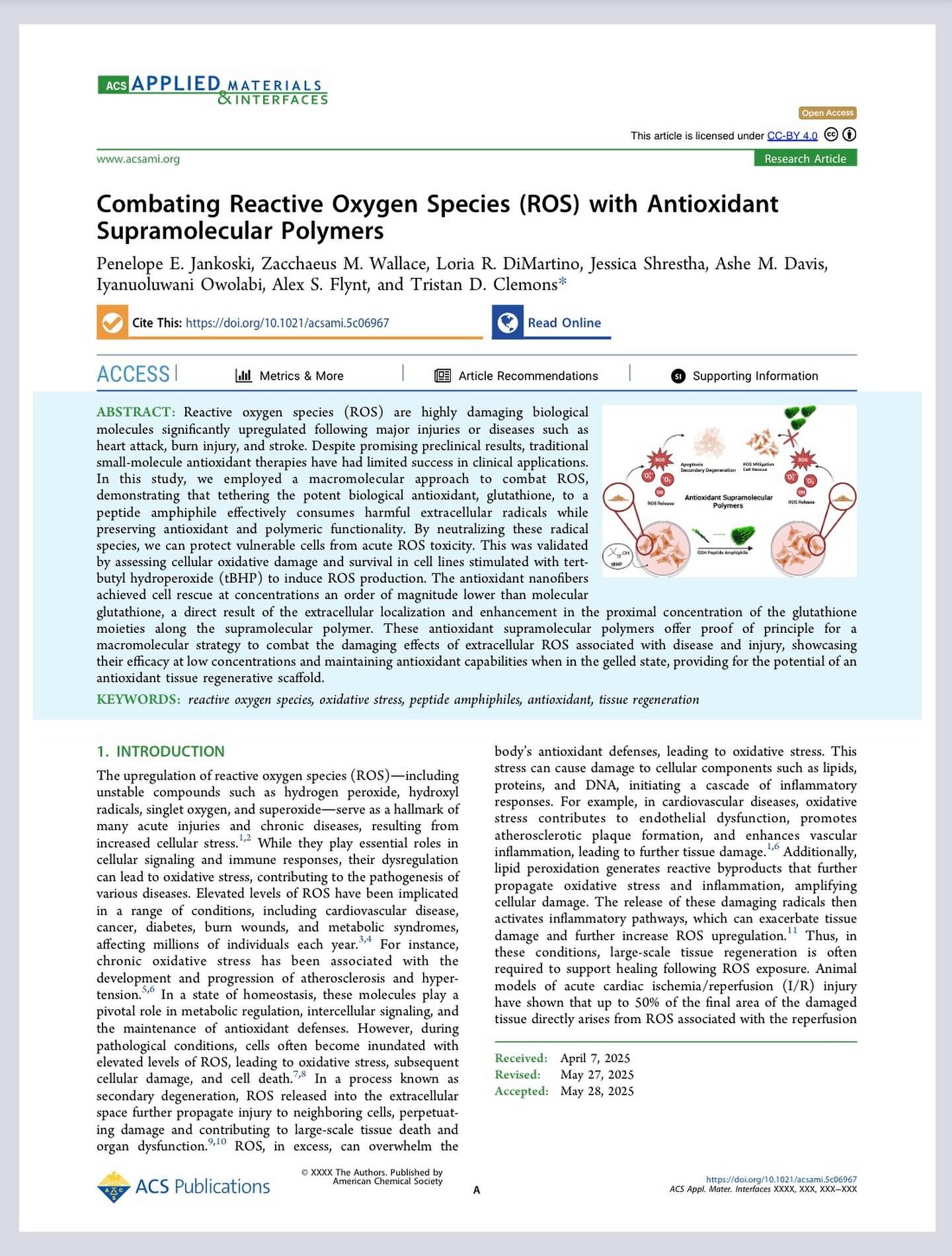 And just like that @penelopejankoski has published her first, first author publication! Amazing work, Penelope! 

Kudos to her tribe of undergraduate co authors for their outstanding work. @zwallace25 @loriadimartino @j_ess_ica12 &amp; Ashe Davis

To