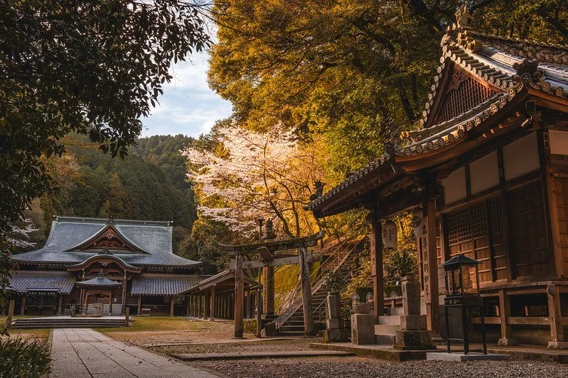 Anmeldung Neue Wege Westen
