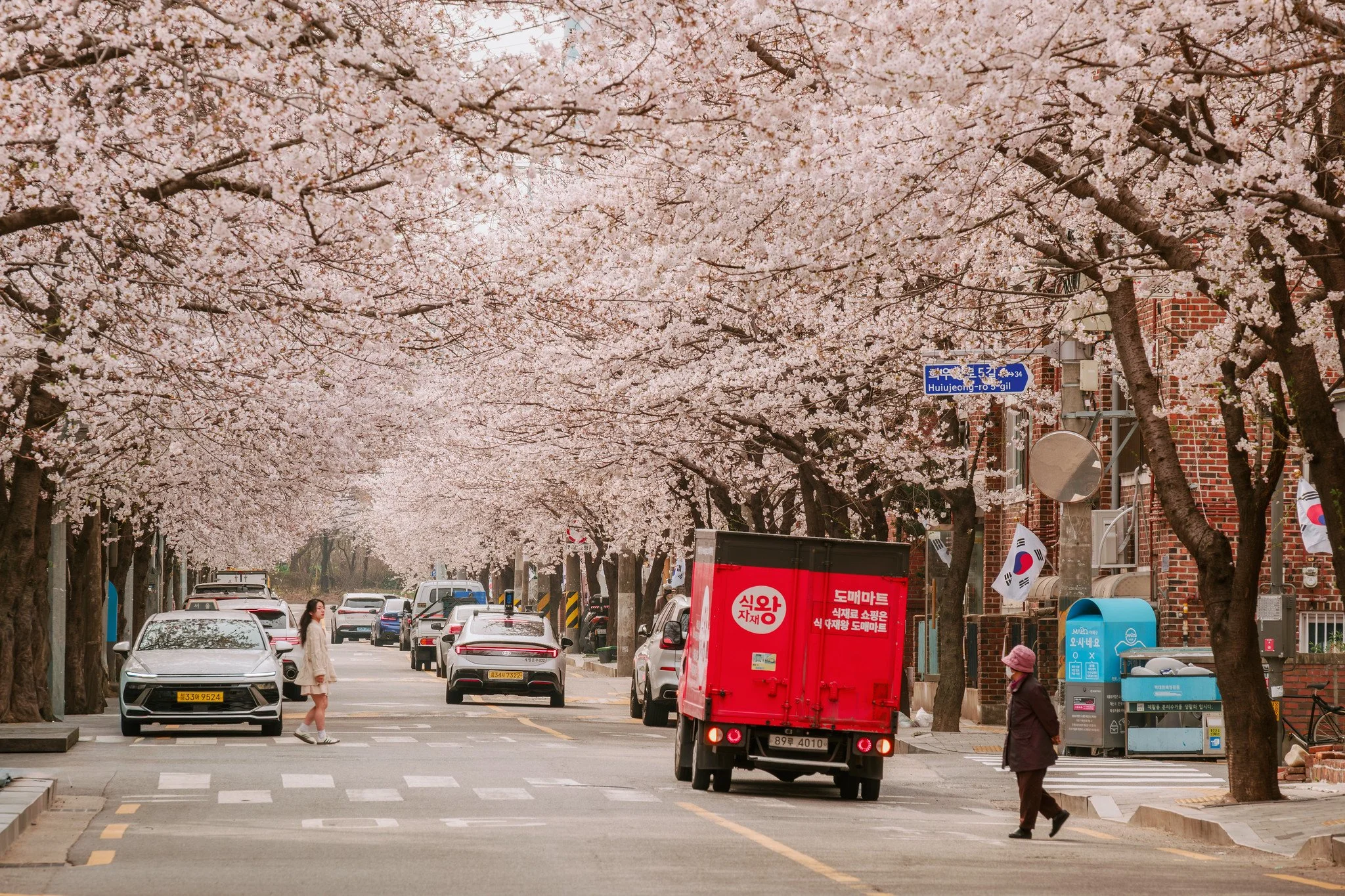 2027 Anmeldung Frühling Seoul im Fokus