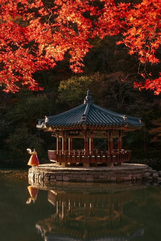 Anmeldung Herbst Korea im Fokus