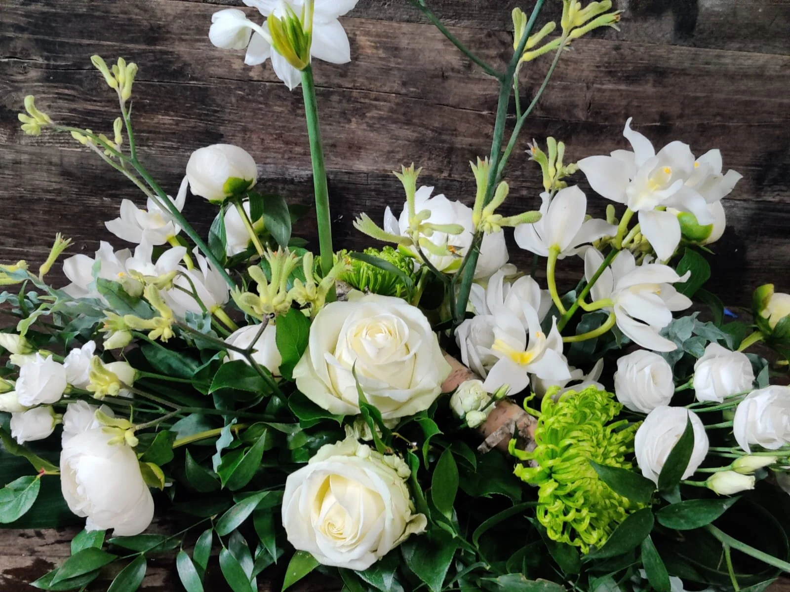 WhatsApp Image 2020-06-11 at 21.31.54.jpeg