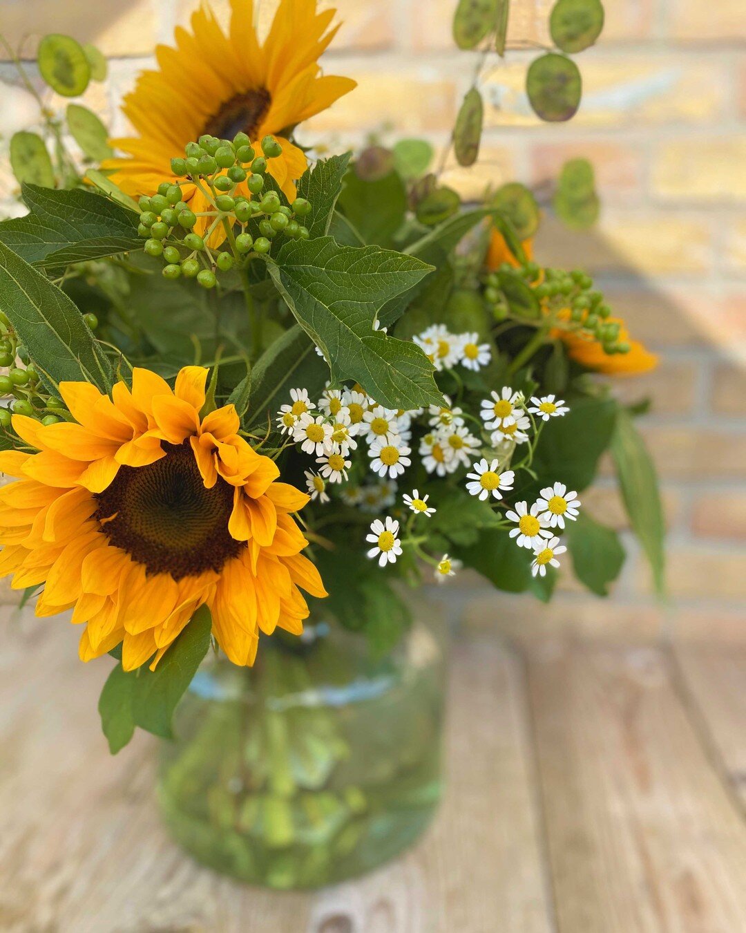 Jooeehooeeee!

Met al dat grauwe weer halen we het zonnetje maar gewoon in huis 🌻

#dianasbloemen #bloemistleiden #zonnebloemboeket #zomersboeket #zeghetmetbloemen #shoplokaal #bloemistinleiden #floristleiden #voorschoten #zoeterwoude #leidenisopen 