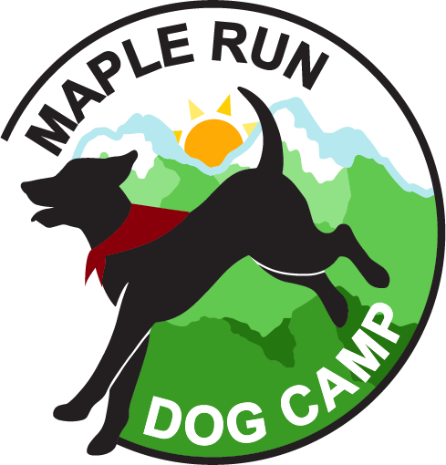 Maple Run Dog Camp