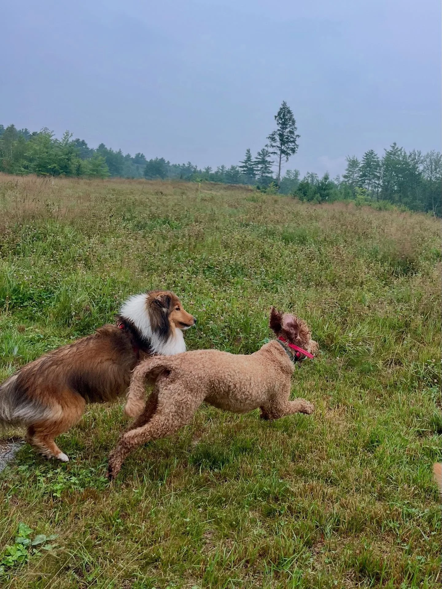 Some of us are not thrilled about the rain&hellip;
