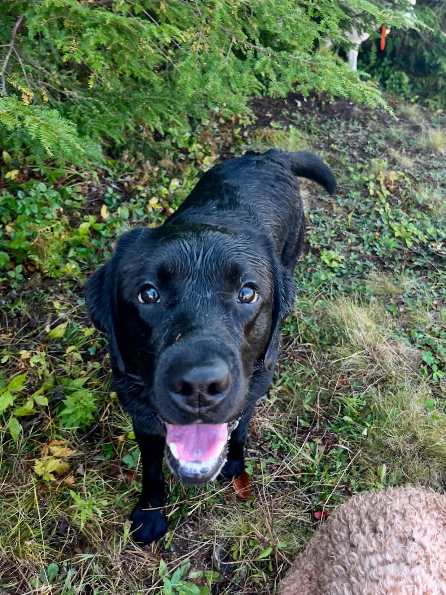 New girl Lilah had the best time today!