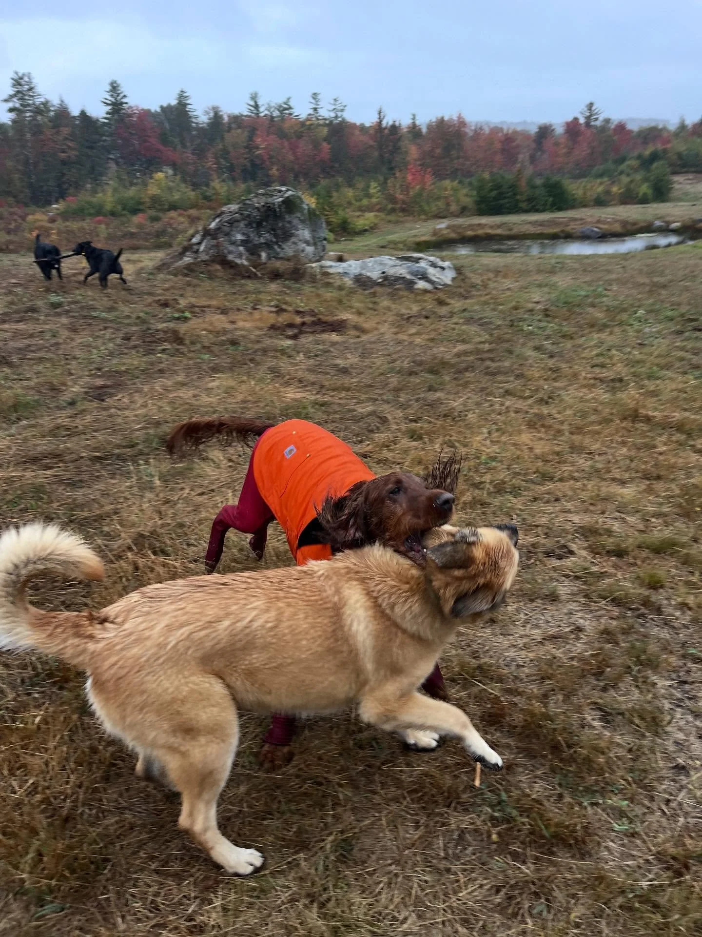 A few pictures from Thursday&rsquo;s rainy skeleton crew