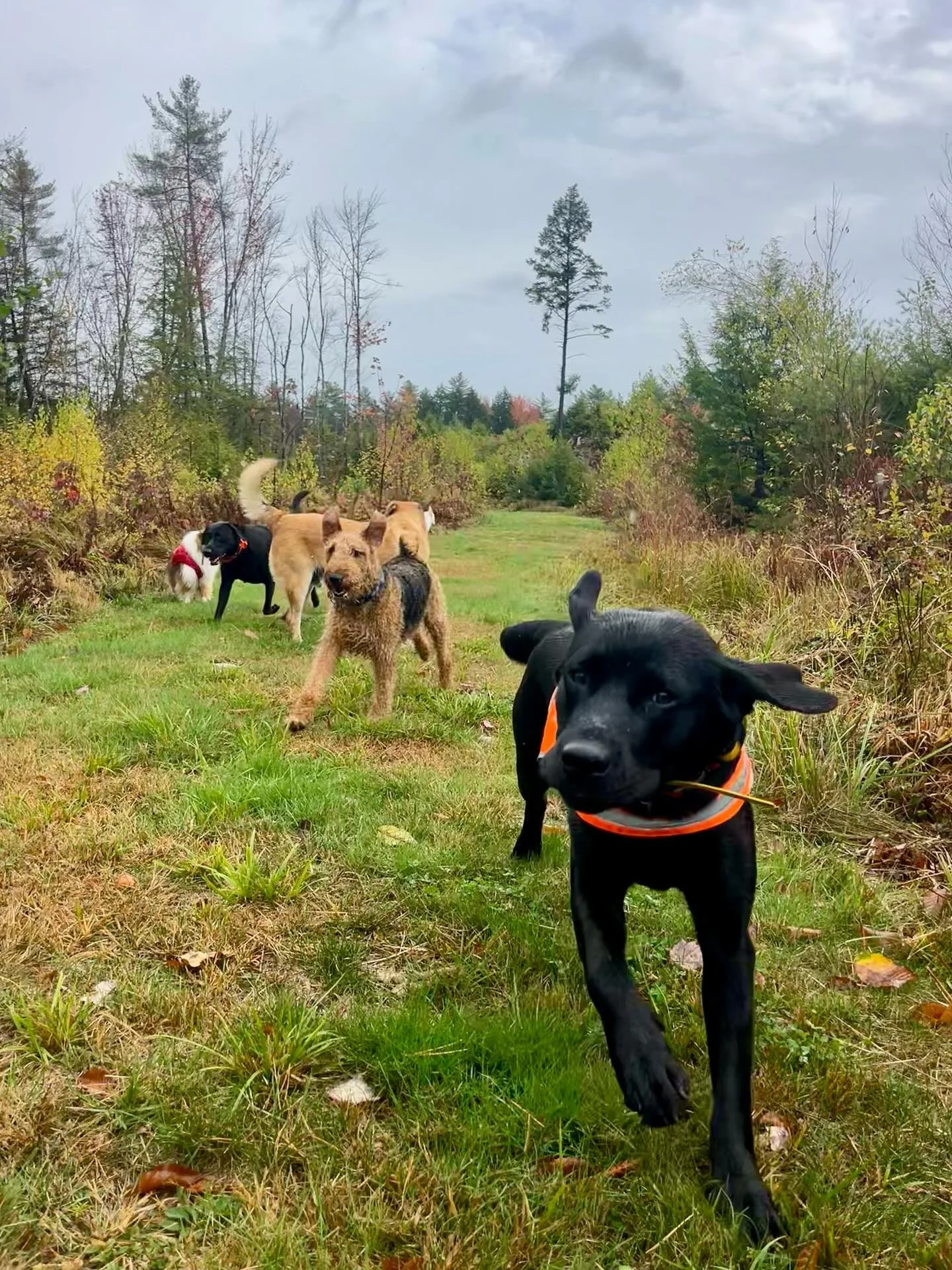 Rainy Wednesday fun 🌧️🌧️