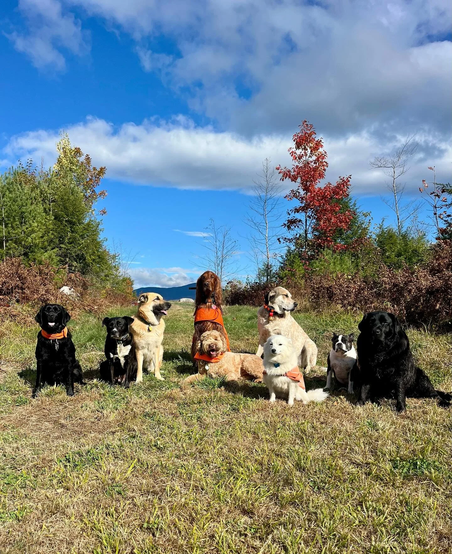 Thursday buddies 🥰