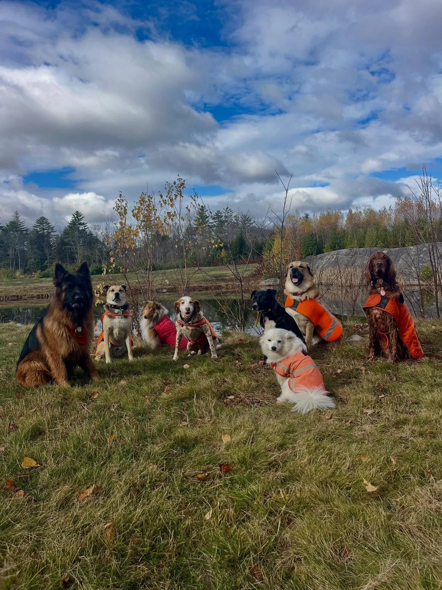 The Monday crew ❤️