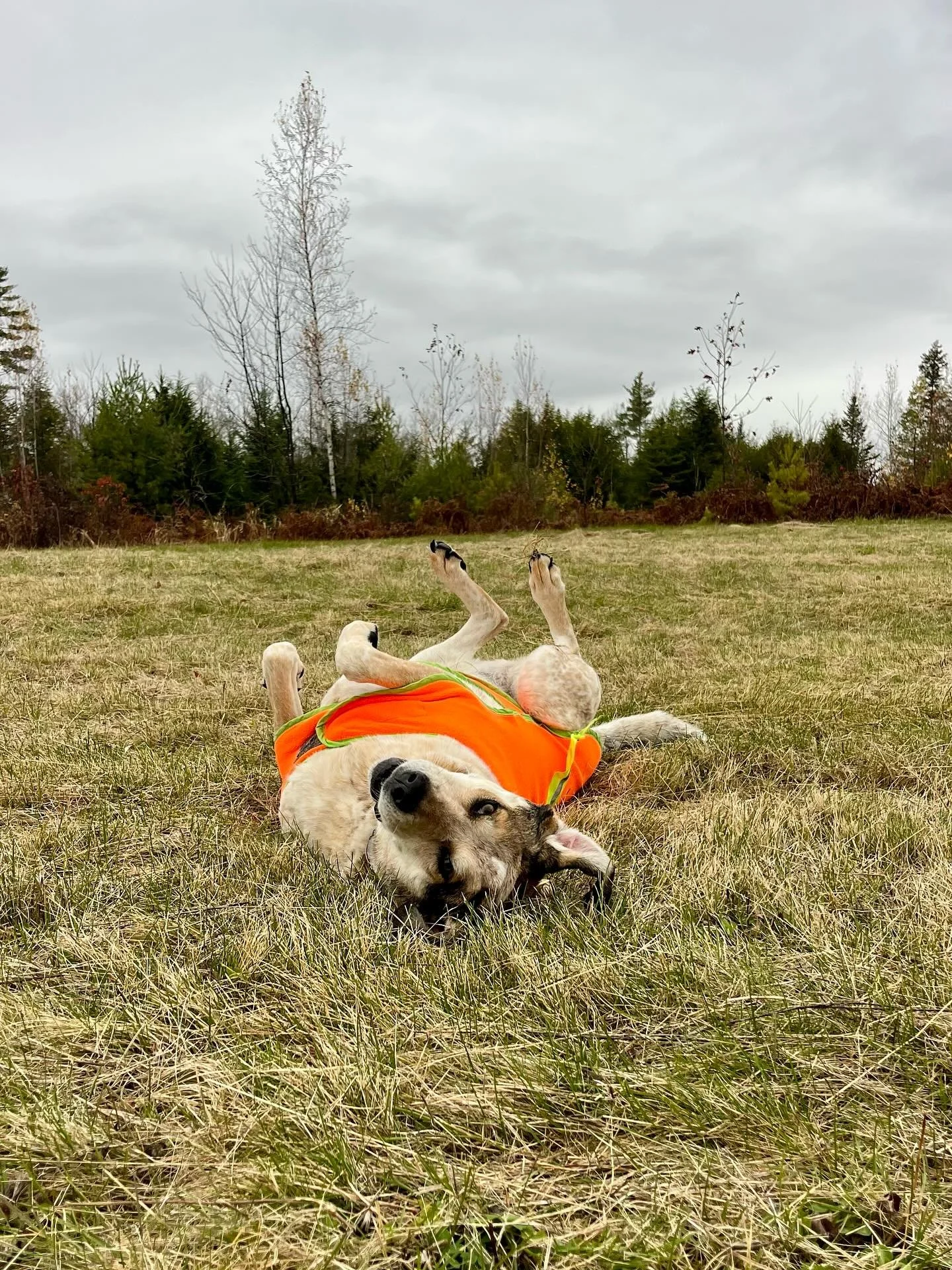 Thursday vibes 🥰 we missed the rain but it was cold out there today!