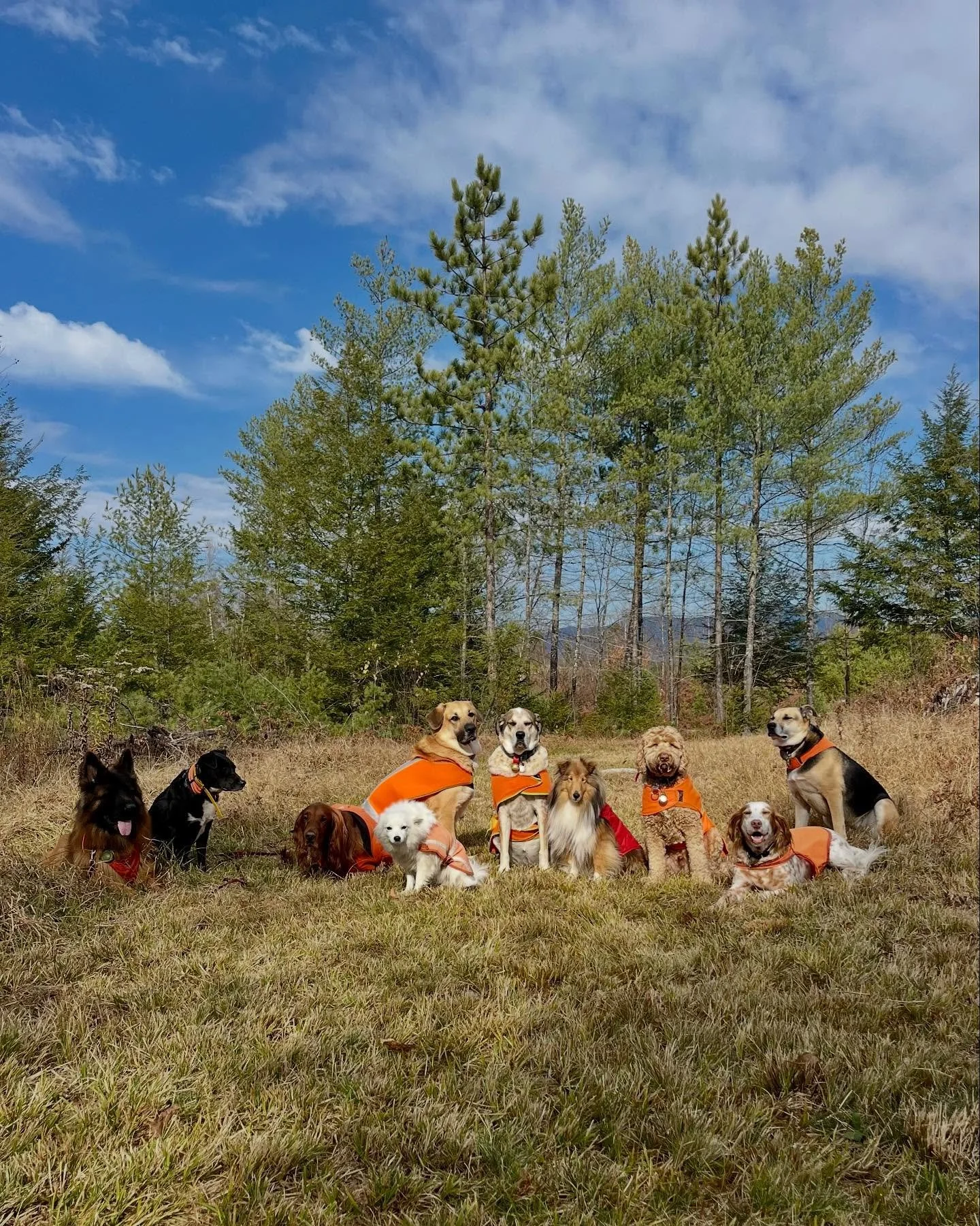 Soaking up the morning sun ☀️