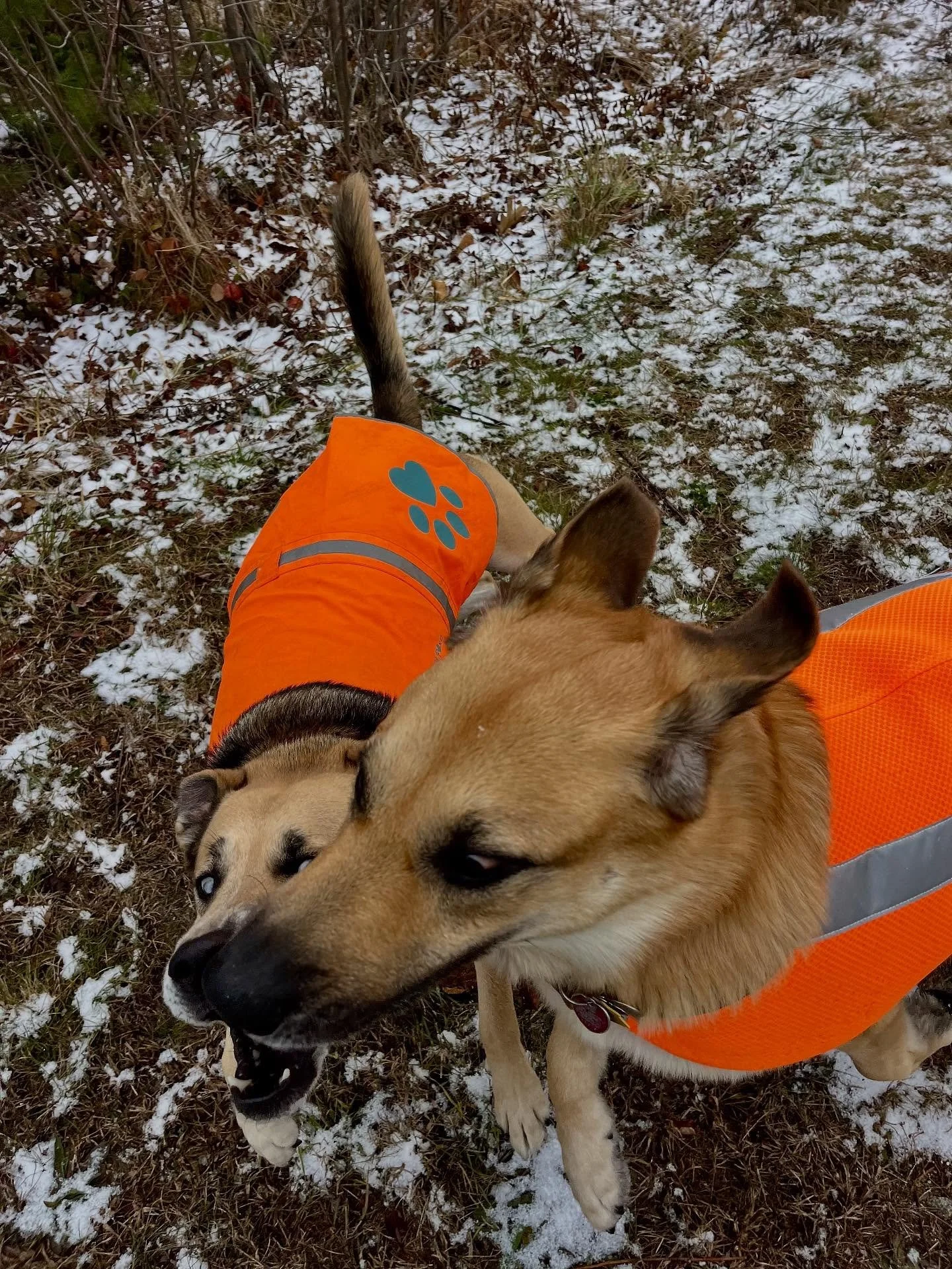 Snow days get everyone psyched!